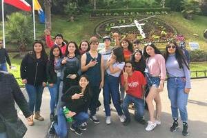proyecto pace2