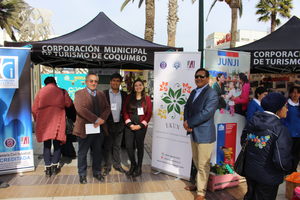 voluntariado2
