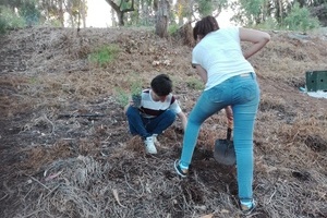 reforestacion3