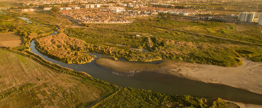 wetlands1