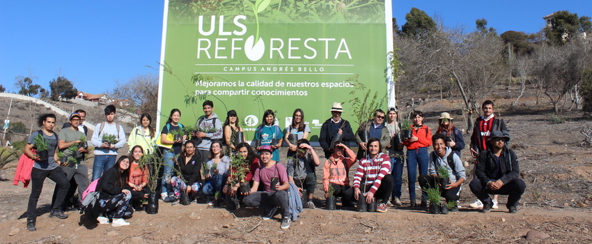 reforesta1