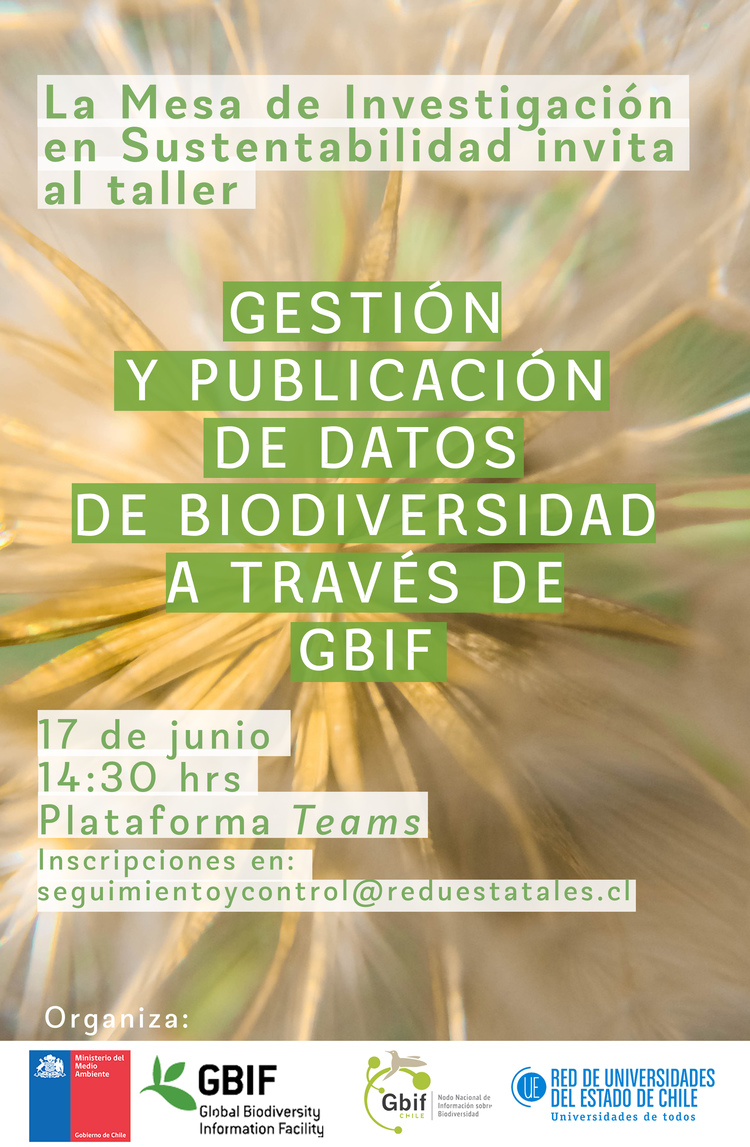 Afiche Final taller