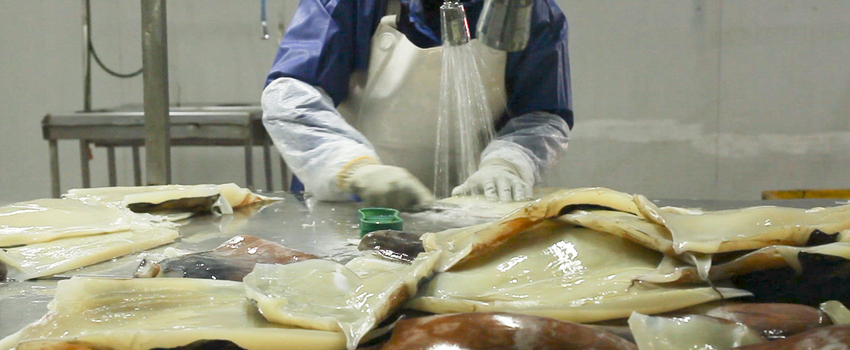 ULS y U. Hokkaido desarrollan importante proyecto para la recuperación de bioproductos de la pesca y acuicultura sustentable 