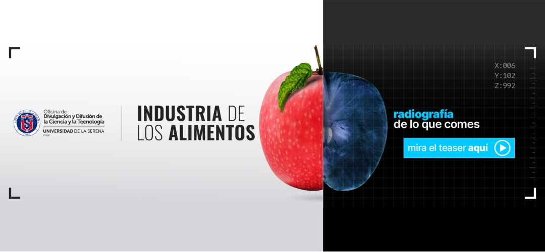 imagen decorativa
