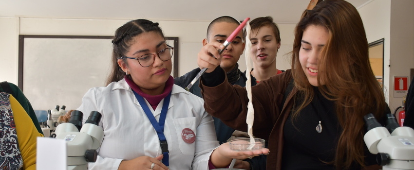 ULS celebró el Día de los Patrimonios con recorridos por sus campus y alta concurrencia de personas 