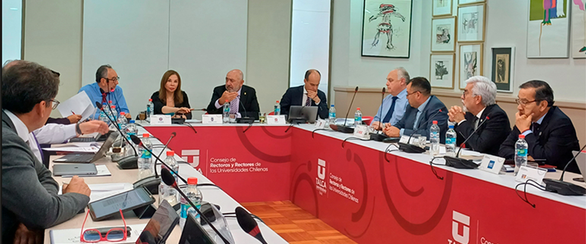 Regulations in Teacher Training and Clinical Fields analyze Regional Universities in plenary session at the University of Talca