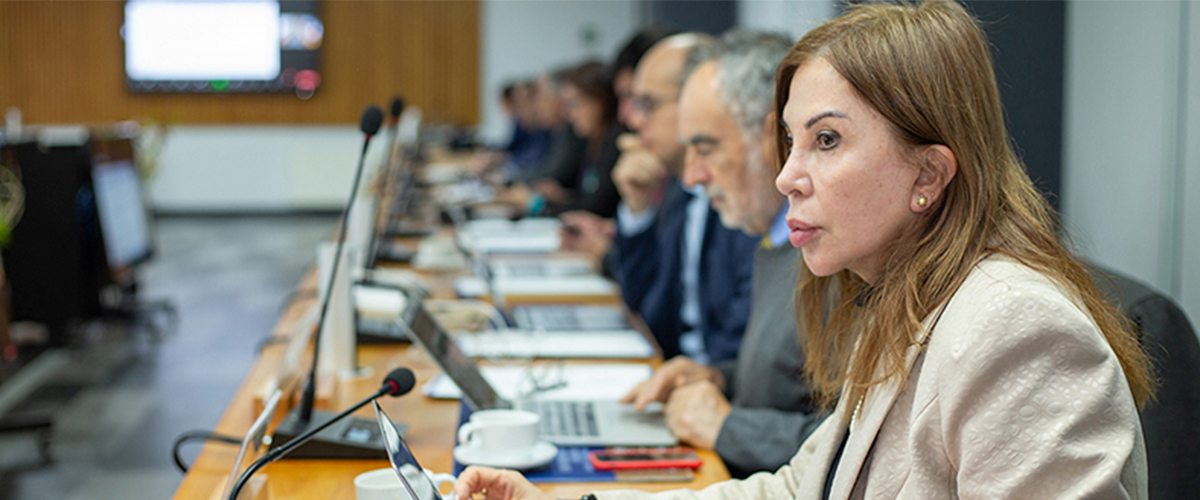 Directiva de las Universidades Regionales (AUR) y Comisiones de Vicerrectorías analizan realidad actual y desafíos para 2024