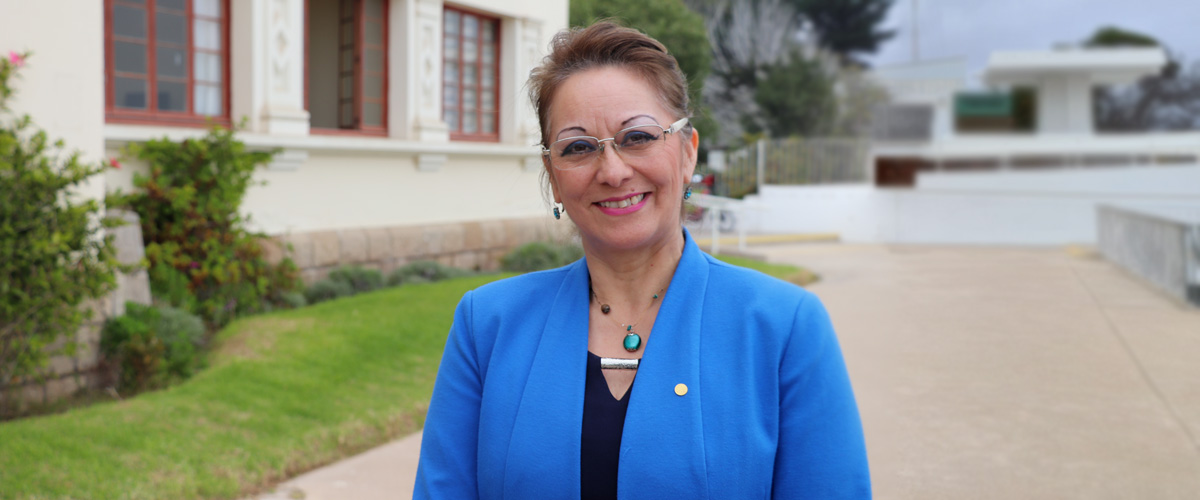 Nueva directiva de Comisión de Vicerrectores/as Académicos/as presenta lineamientos estratégicos 2023-2025
