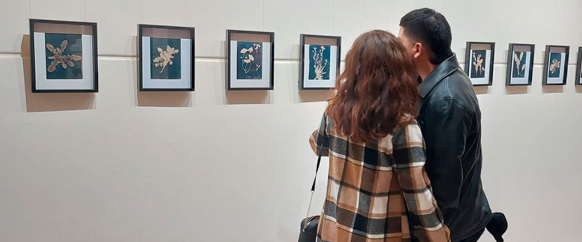 Novedosa muestra de fotografía análoga busca re significar la flora silvestre
