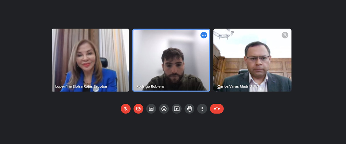 Rectora ULS es entrevistada en el marco de la nueva Estrategia Regional de Desarrollo 2030