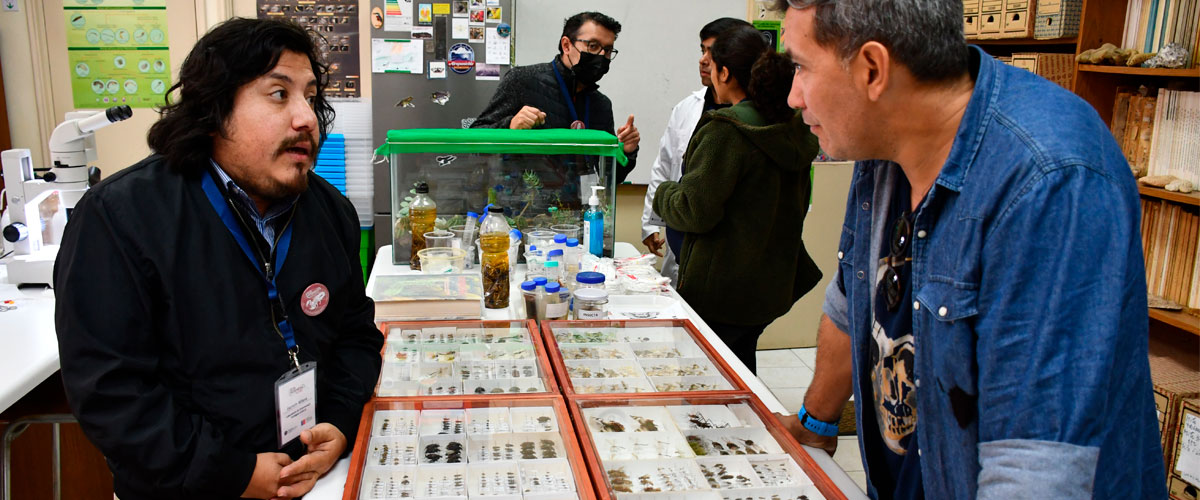 Nearly half a million samples have the most complete biological collection in the northern part of Chile.
