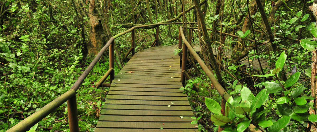 Invitan a participar en simposio que conmemora los 35 años de trabajo científico en la Reserva de la Biósfera del Parque Fray Jorge