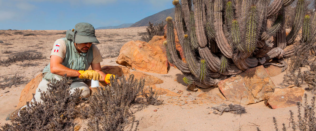 Doctorate in Biological Sciences, Mention Ecology of Arid Zones obtains accreditation