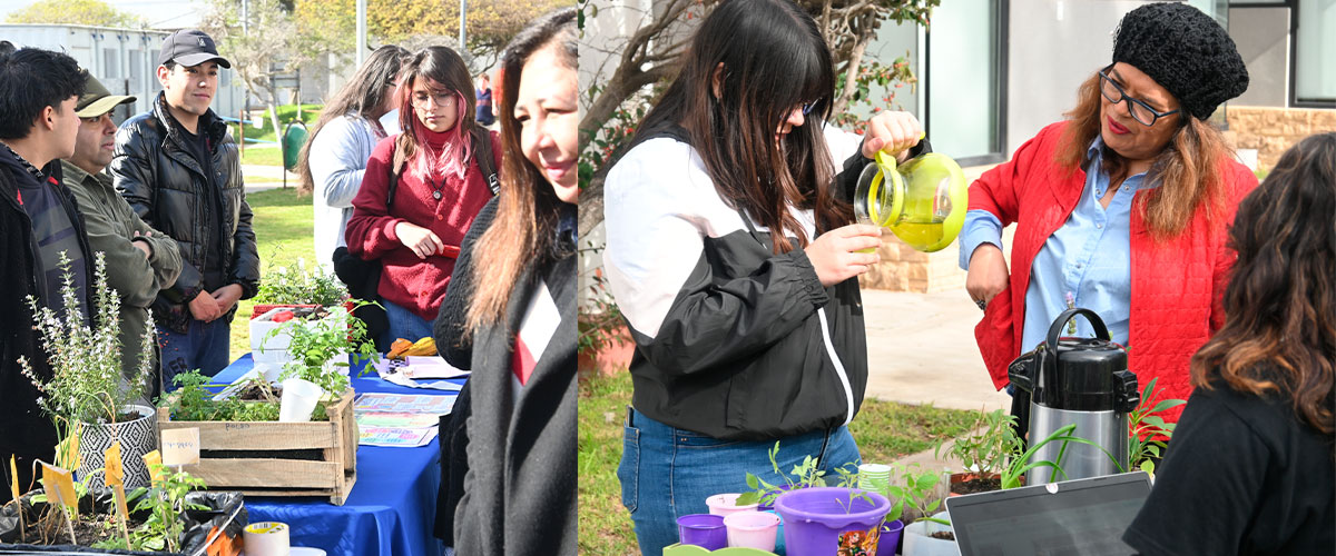 Estudiantes de Pedagogía en Biología presentan proyectos de huerta y reciclaje textil a la comunidad universitaria