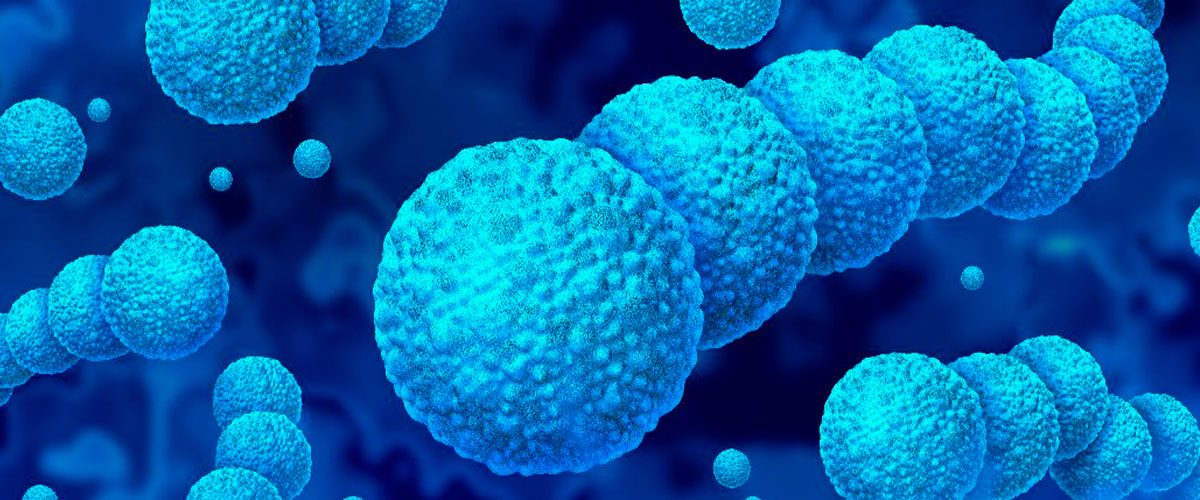 Conoce los efectos y cómo prevenir los contagios de la llamada “Bacteria asesina” 