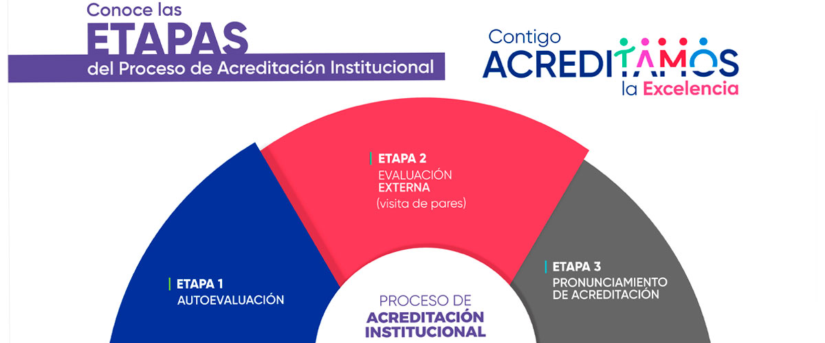 Acreditación Institucional: Conoce las etapas del proceso