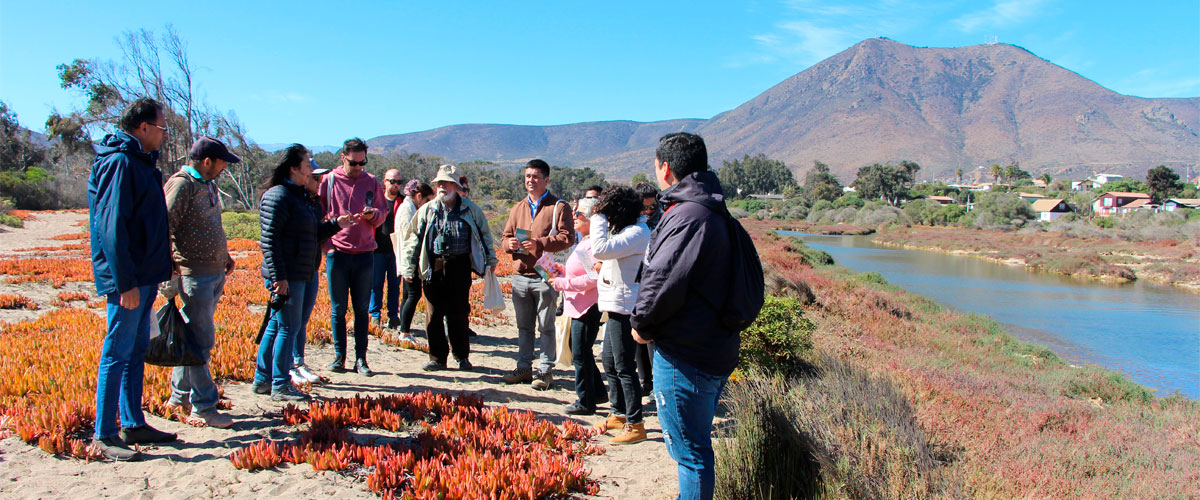 USerena colabora activamente con la protección del medio ambiente apoyando actividades de protección dunar y marina en Pichidangui