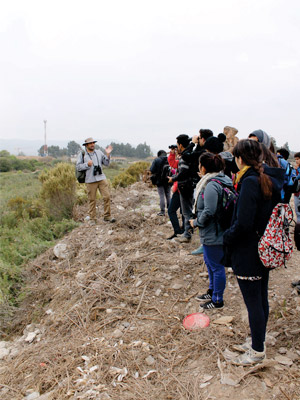 wetland design 2