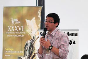 entomologia 3