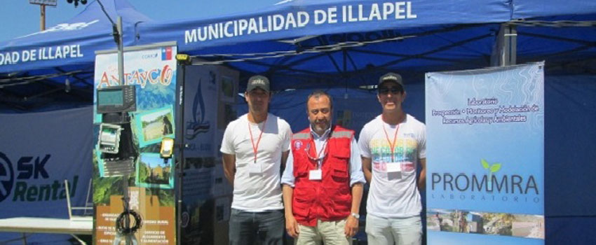 feria illapel