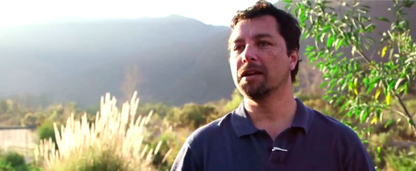jorge nunez